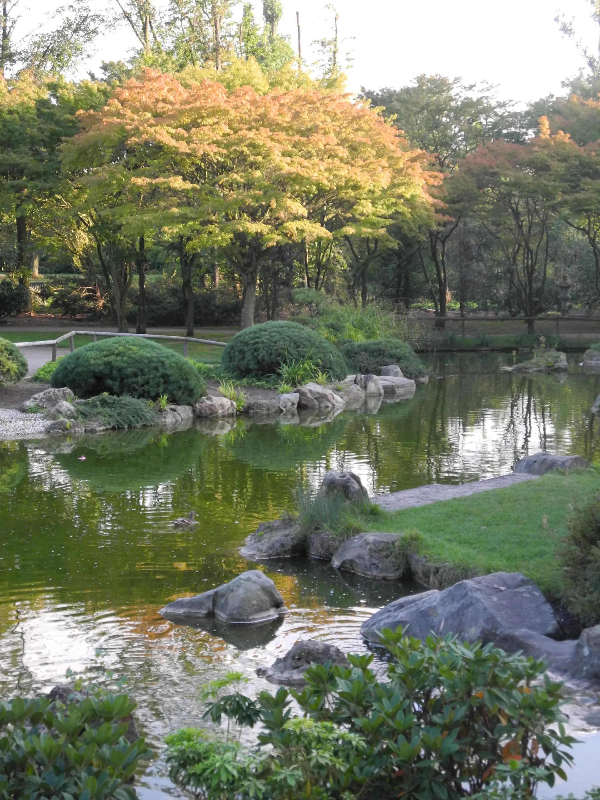 Teich und Bepflanzung im Japanischen Garten im Nordpark Düsseldorf
